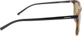 Arnette Fry 0AN 4301 277083 55 26263