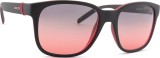 Arnette Surry H 0AN 4320 286977 55 24652
