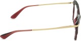 Dolce & Gabbana 0DG5025 3045 53 Partea laterală a produsului