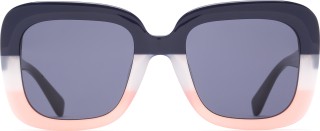 Hawkers Tricolor Butterfly 4052