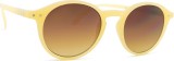 Izipizi Sun #D Glossy Ivory 26291