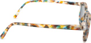 Izipizi Sun #H Blue Tortoise 26343