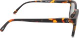 Izipizi Sun #L Tortoise Mirror 26349