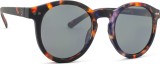 Izipizi Sun #M Tortoise 26367