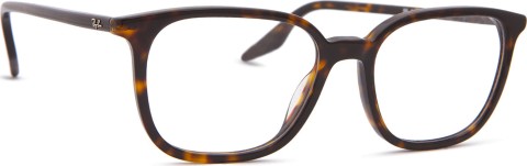 Ray-Ban 0RX5406 2012