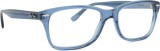 Ray-Ban 0RX5428 8223 53