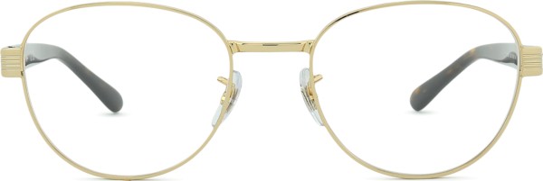 Ray-Ban 0RX6543 2500 54