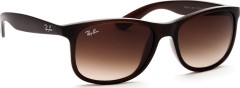 Ray-Ban Andy RB4202 607313 55