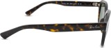 Ray-Ban Erik RB4398 902/31 24578