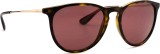 Ray-Ban Erika RB4171 639175 54 9216