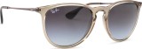 Ray-Ban Erika RB4171 65138G 54 11181
