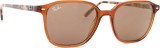 Ray-Ban Leonard RB2193 663693 53