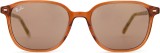 Ray-Ban Leonard RB2193 663693 53 22811