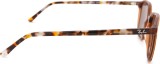 Ray-Ban Leonard RB2193 663693 53 22812