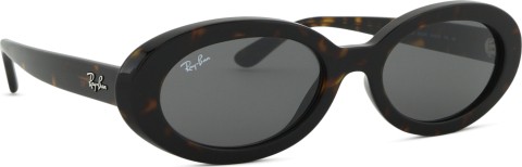 Ray-Ban RB2223 902/B1 54