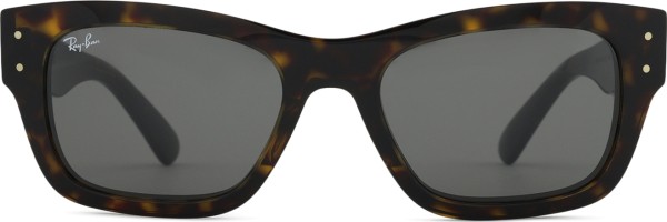 Ray-Ban RB7683S 902/B1 55