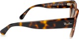 Ray-Ban Roundabout RB2192 1324BG 47 12521