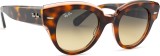 Ray-Ban Roundabout RB2192 1324BG 47